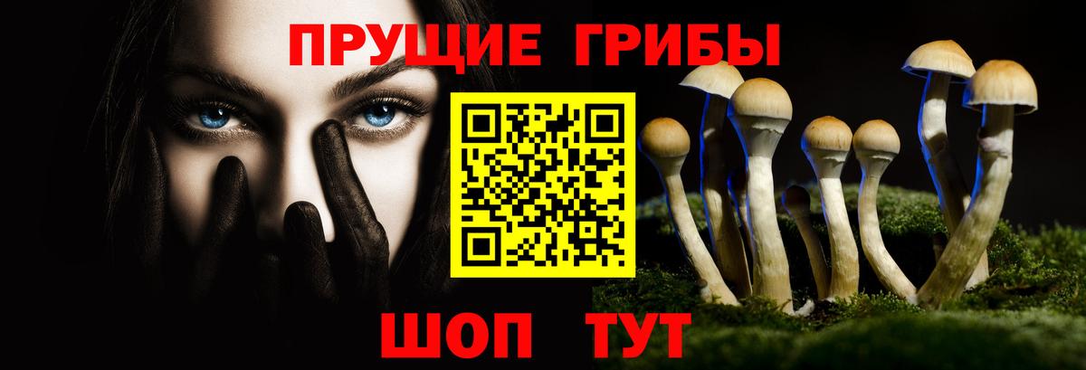 Псилоцибиновые грибы Magic Shrooms  Вход с VPN  купить   Сосновоборск 